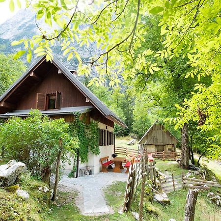 Alpine House Antonia Villa Trenta Luaran gambar