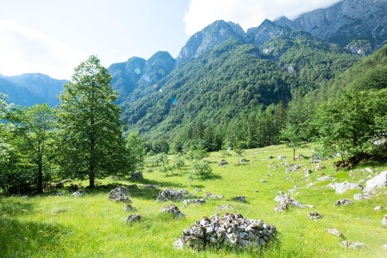 Alpine House Antonia Villa Trenta Luaran gambar