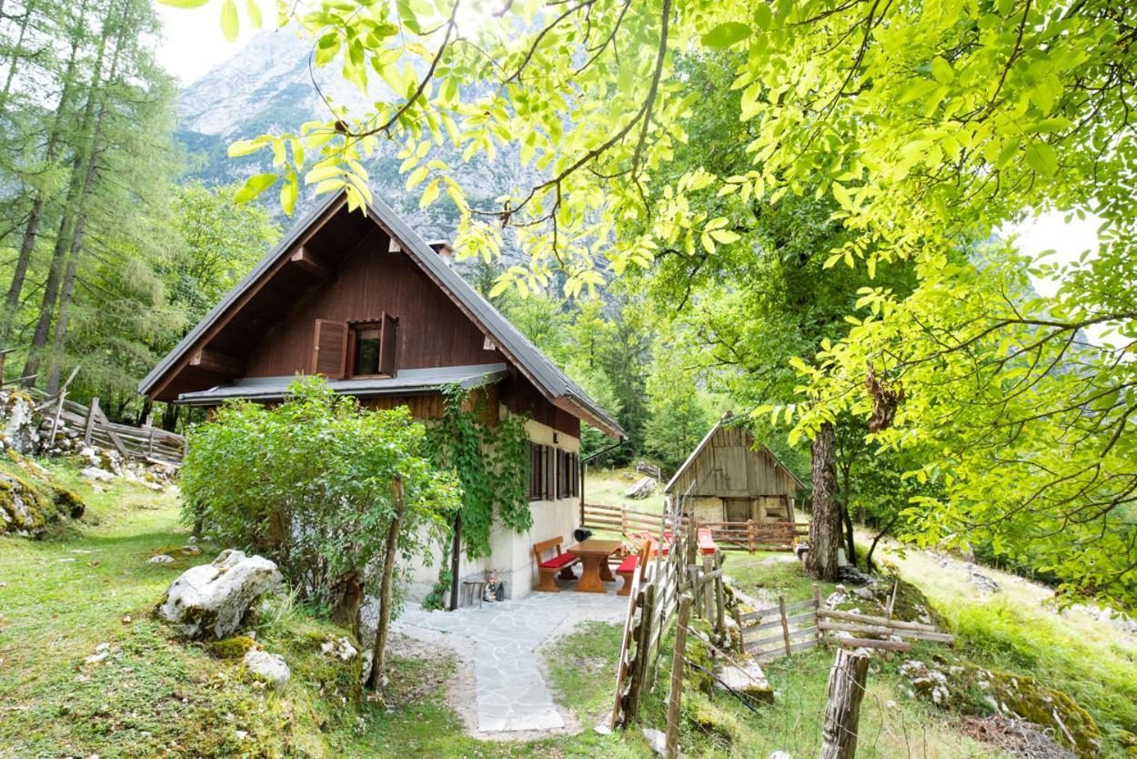 Alpine House Antonia Villa Trenta Luaran gambar