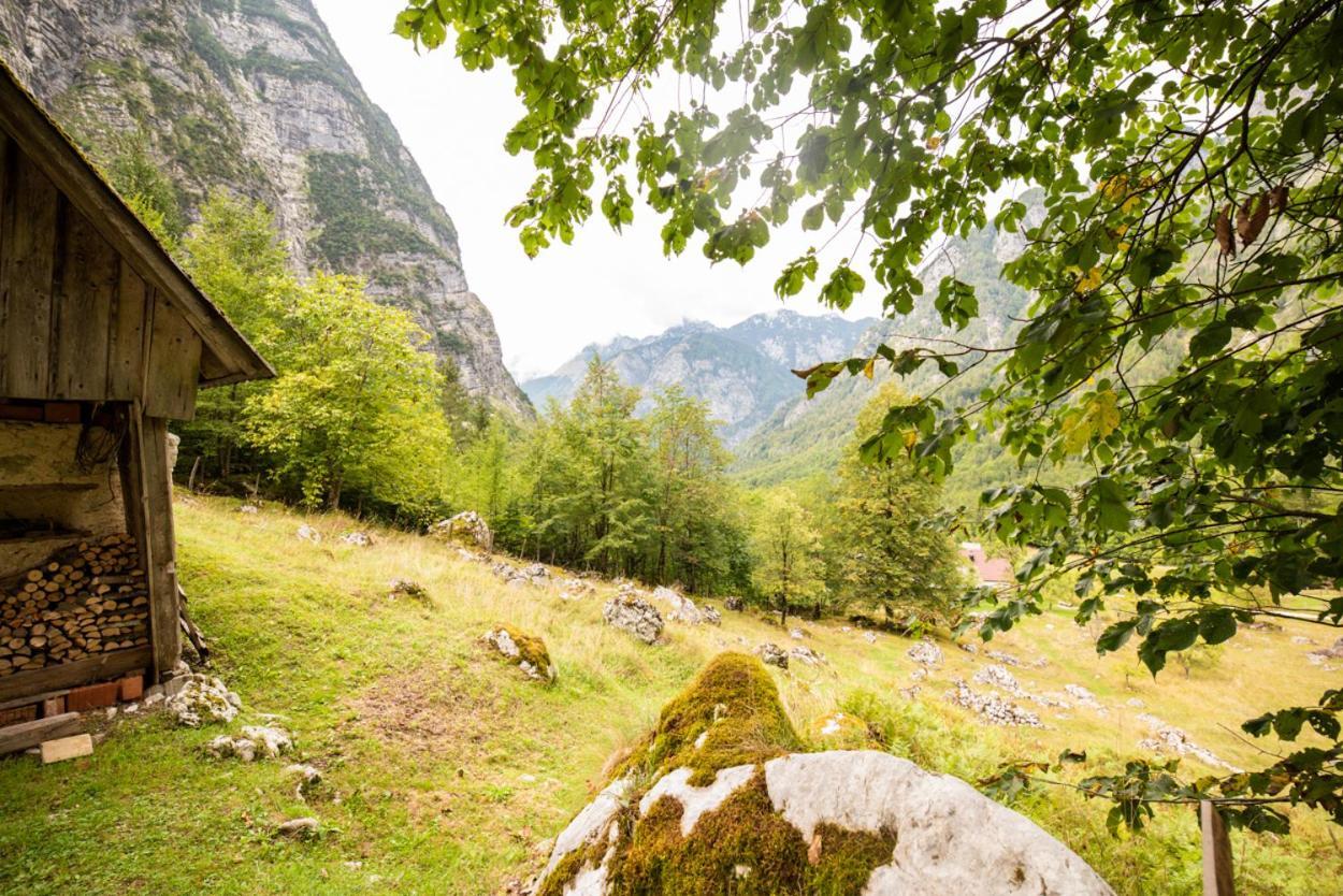 Alpine House Antonia Villa Trenta Luaran gambar