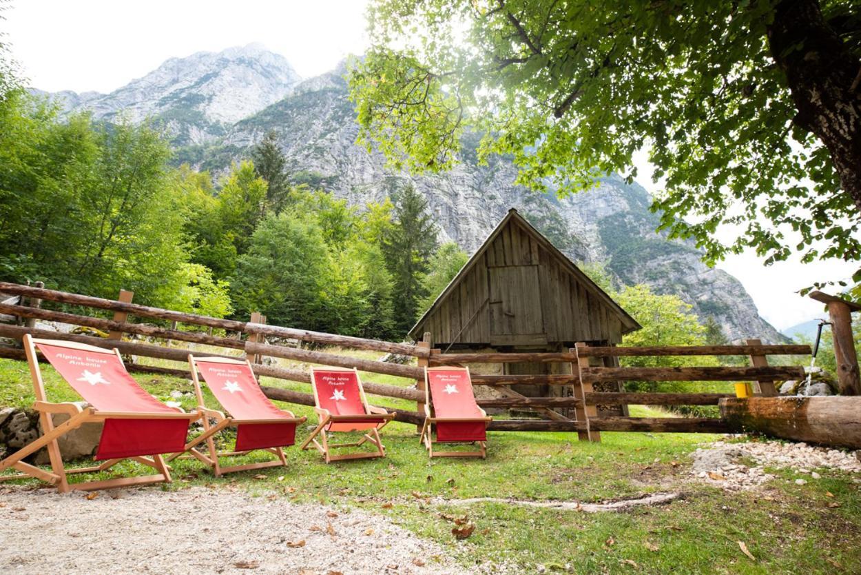 Alpine House Antonia Villa Trenta Luaran gambar