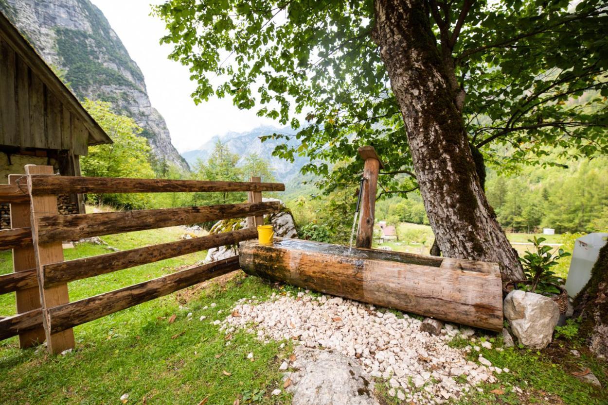 Alpine House Antonia Villa Trenta Luaran gambar